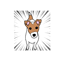 "Everyday"Jack Russell Terrier