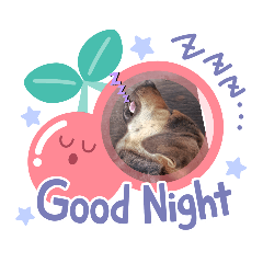 Alice_20220428193928