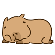 Kapi Capybara : Chubby Capy 2 (no text)