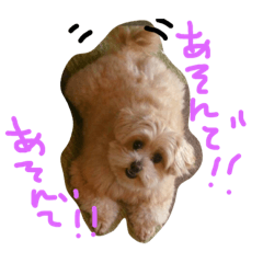 mohu.ruutan