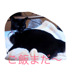 ikumomo