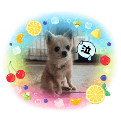 JACK_20220428211953