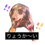 animal dog stamp