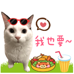 哈利正式版❤️