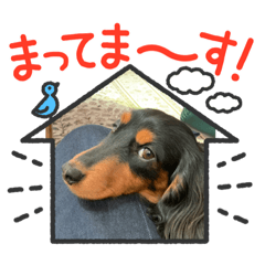 Ai_20220429115114
