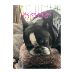Hana_20220429084525