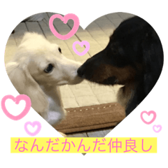 himawari_20220429120621