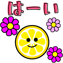 Round sliced lemon LEMOMI summer