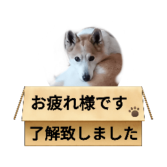 tomomi_20220429124257