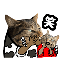 michiko_20220429075849