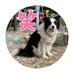 kero_Leo_2022.4.29
