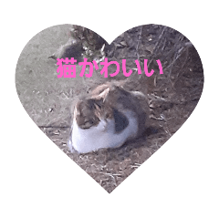 nozomi_20220429111138