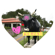 Where are you going Where are you going