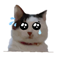 Yuina_20220429133649