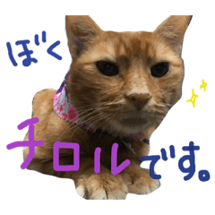 I am Chiroru.