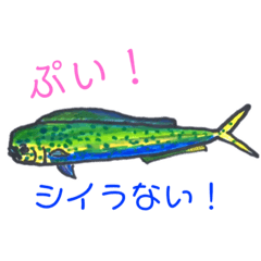 深海魚　シイラ