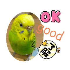 aono_20220429154328