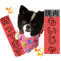 mano_20220427135351