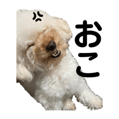 yukari_20220429131552