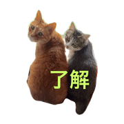 Kinako&Anko#