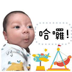 林寶寶の表情包2.0
