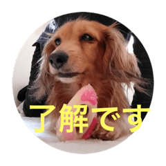 macaron_20220429172940