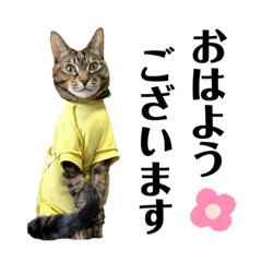 yukari_20220429150219