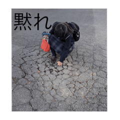Hana_20220429145054