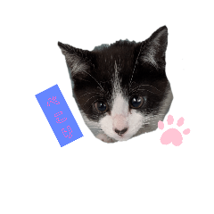 matsu_20220429150847