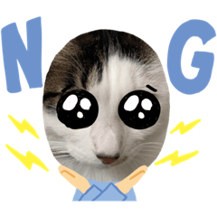 Yuina_20220429191117