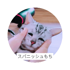 aoi_20220429192927