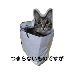 nyanko_20220429185340