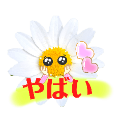 White pretty flowers stickers version 2