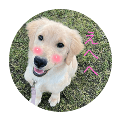 na_06,17,21,28,05,26