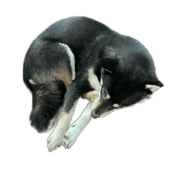 CHERRY_20220429215437