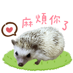 咪嚕表情包❤️