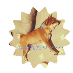 suzu_20220429212231