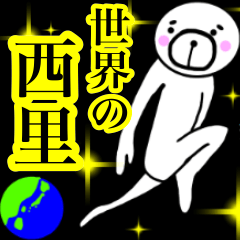 NISHIZATO sticker.