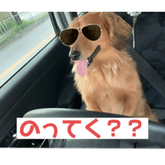 Rina_20220429212616