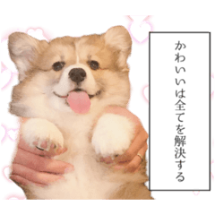 コーギー Lineクリエイターズスタンプまとめ Stamplist コーギー Lineクリエイターズスタンプまとめ Stamplist