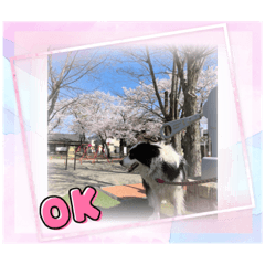 kero_Leo_2022.4.30