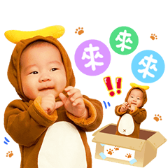 犇犇寶包話多多