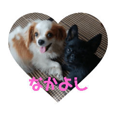 Lovely_dogs.Mukku_and_Cookie