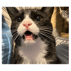 tanasaki_20220430122407