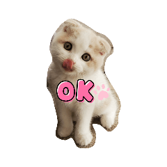 sayuri_20220430133459