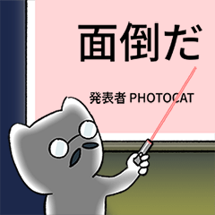 Photocat's Presentation
