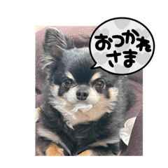 reku&nbsp; &nbsp; stamp