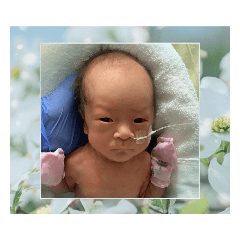 YUKARI_20220430095631