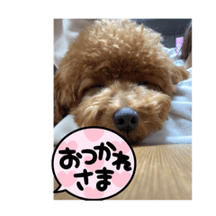 Emily_20220429191520