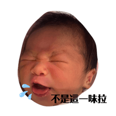 福福Ryan1.0